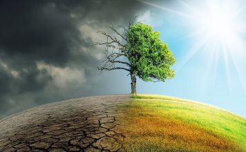 6th mass extinction