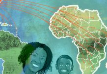 African american ancestry dna results