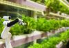 The Future of Agriculture: Innovations and Trends