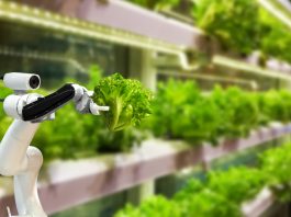 The Future of Agriculture: Innovations and Trends