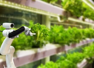 The Future of Agriculture: Innovations and Trends