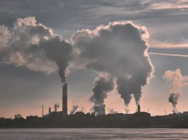 Study Finds Link Between Air Pollution and Cognitive Decline