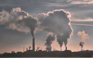 Study Finds Link Between Air Pollution and Cognitive Decline