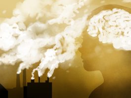 Study Finds Link Between Air Pollution and Increased Risk of Dementia
