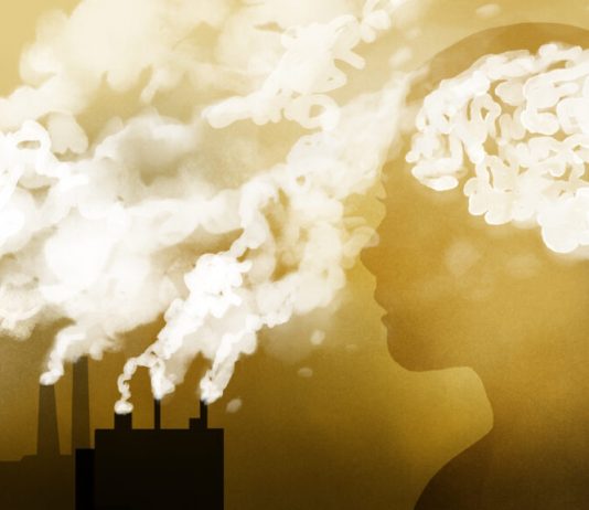 Study Finds Link Between Air Pollution and Increased Risk of Dementia