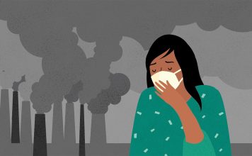 Study Finds Link Between Air Pollution and Increased Risk of Type 2 Diabetes