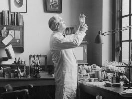 Alexander Fleming: The Scientist Who Discovered Penicillin