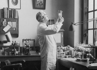 Alexander Fleming: The Scientist Who Discovered Penicillin