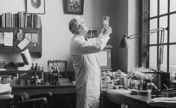Alexander Fleming: The Scientist Who Discovered Penicillin