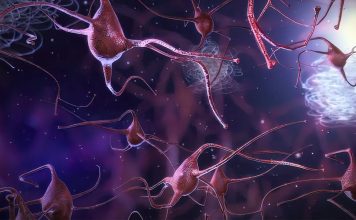 Scientists Develop New Method for Detecting Alzheimer’s Disease Early