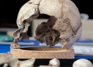 Amelia earhart found