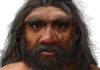 Researchers Discover New Species of Ancient Human Ancestor