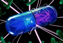 Researchers Discover New Mechanism for Fighting Antibiotic Resistance