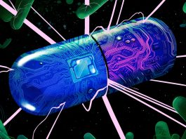 Researchers Discover New Mechanism for Fighting Antibiotic Resistance