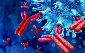 Antibody mediated viral enhancement