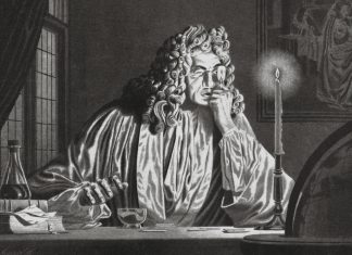 Antonie van Leeuwenhoek: The Father of Microbiology and the First to Observe Bacteria and Protozoa