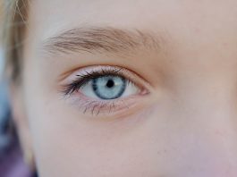 Are all people with blue eyes related