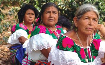 Are mexicans indigenous