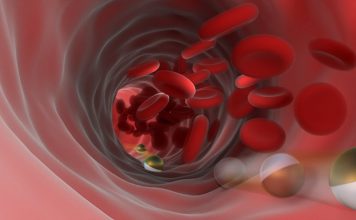 Scientists Develop New Method for Creating Artificial Blood Vessels