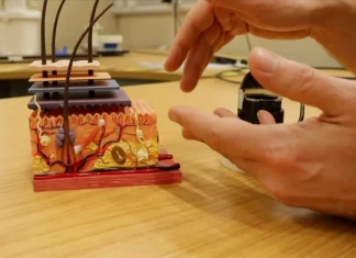 Artificial fingertip gives robots nearly humanlike dexterity