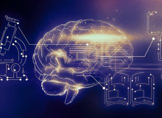 The Science of Artificial Life: From Synthetic Cells to AI Consciousness