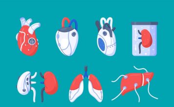 The Latest Developments in Artificial Organs and Transplants