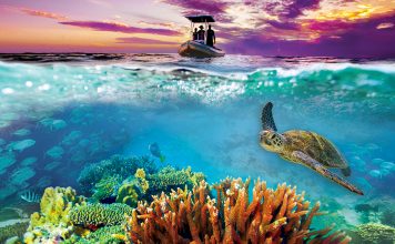 Exploring the Great Barrier Reef: The Science and Beauty of Australia’s Coral Reef