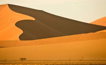 The Science and Beauty of Namibia’s Sossusvlei: A Journey into the Dunes of the Desert