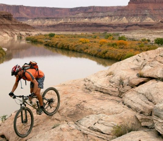 The Best Places for Biking: The Science and Adventure of Cycling through Scenic Routes