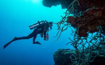 The Best Places for Scuba Diving: The Science and Beauty of Underwater Worlds