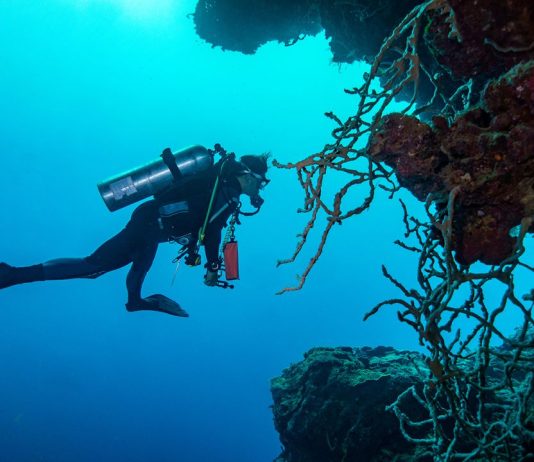 The Best Places for Scuba Diving: The Science and Beauty of Underwater Worlds