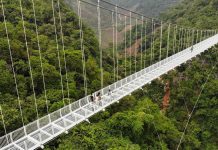 The Best Places for Skywalking: The Science and Thrill of Walking on Glass Bridges