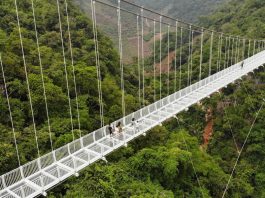 The Best Places for Skywalking: The Science and Thrill of Walking on Glass Bridges
