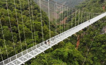 The Best Places for Skywalking: The Science and Thrill of Walking on Glass Bridges