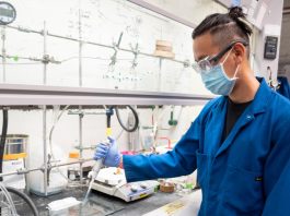 Researchers Create First Ever Fully Biodegradable Plastic