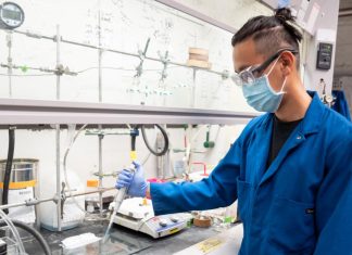 Researchers Create First Ever Fully Biodegradable Plastic