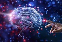 The Discovery of the Blood-Brain Barrier: How It Protects the Brain