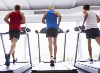 The Science of Exercise: Understanding How Our Bodies Respond to Physical Activity