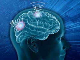 The Science of Brain-Computer Interfaces: The Technology That Lets Our Minds Control Machines