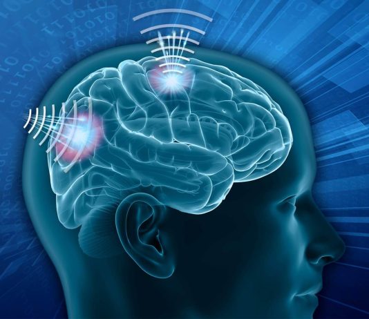 The Science of Brain-Computer Interfaces: The Technology That Lets Our Minds Control Machines