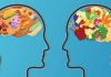The Role of Nutrition in Brain Health: How Diet Affects Memory, Focus, and Mood