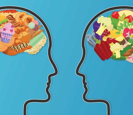 The Role of Nutrition in Brain Health: How Diet Affects Memory, Focus, and Mood