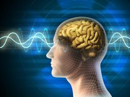 Brain signals converted into words for communication