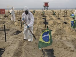 Brazil covid-19