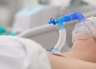 Breathe through their intestines