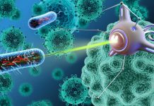 Researchers Develop New Nanoparticle Therapy for Cancer Treatment