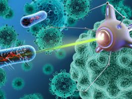 Researchers Develop New Nanoparticle Therapy for Cancer Treatment