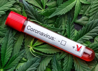 Cannabis and covid-19