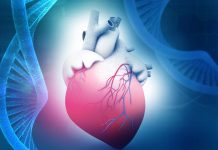 The Science of Heart Health: Understanding Cardiovascular Disease and Prevention Strategies