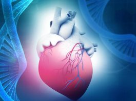 The Science of Heart Health: Understanding Cardiovascular Disease and Prevention Strategies